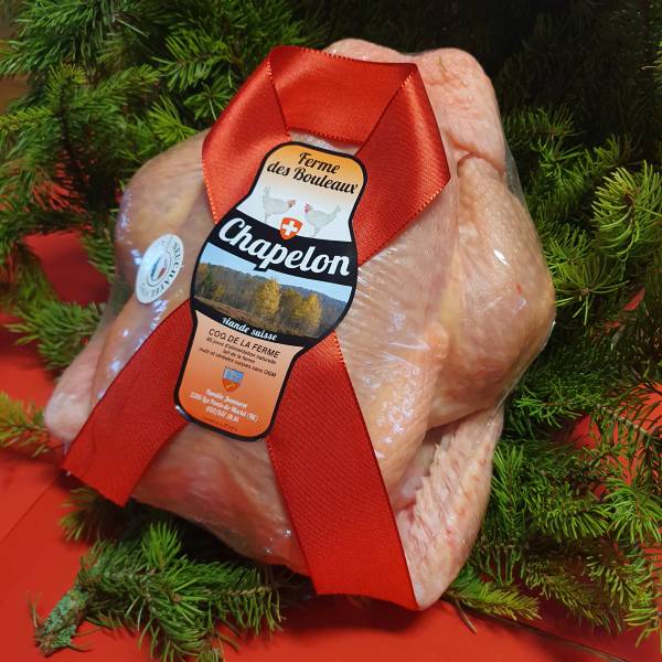 Chapelon_Noël_2 Chapelon Noël Profil