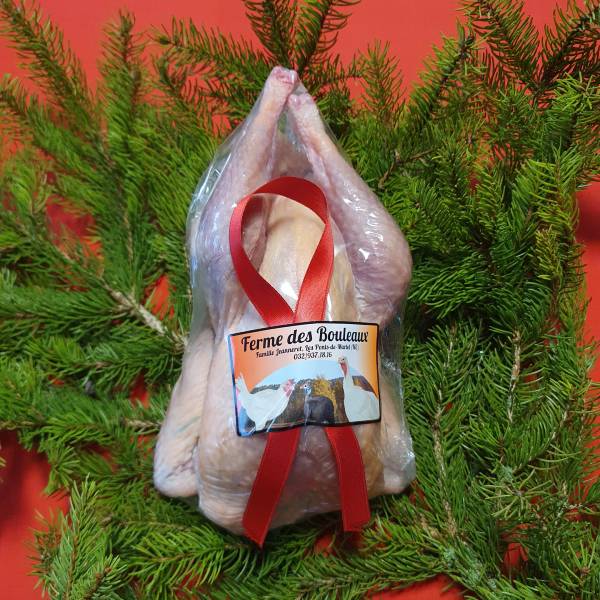 Pintade_Noël_1 Pintade Noël